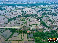 公安县鸡鸣城遗址：一幅幅忙碌的春耕图景入画来
