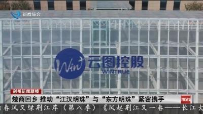 楚商回乡 推动“江汉明珠”与“东方明珠”紧密携手