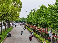 满城花海！荆州古城盛装迎五一