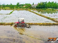 公安县鸡鸣城遗址：一幅幅忙碌的春耕图景入画来