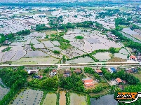 公安县鸡鸣城遗址：一幅幅忙碌的春耕图景入画来