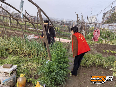 荆州区梅村社区禁种铲毒会议：提升能力 织密无毒防护网