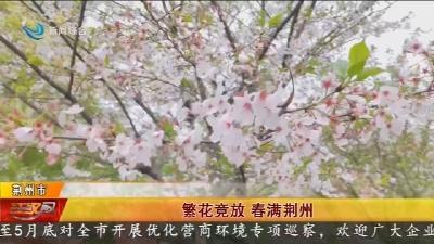 繁花竞放 春满荆州