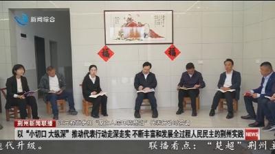 汪元程以人大代表身份到洪湖市参加 “聚力人居环境整治” 代表行动