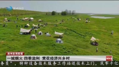 一城烟火 四季监利 赏花经济兴乡村