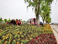 满城花海！荆州古城盛装迎五一