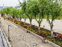 满城花海！荆州古城盛装迎五一