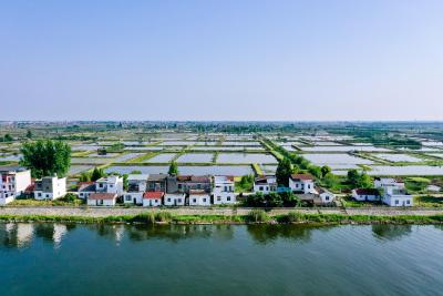 图集丨英雄洪湖・红色水乡 —— 主流媒体及网络大 V 洪湖行