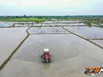 公安县鸡鸣城遗址：一幅幅忙碌的春耕图景入画来