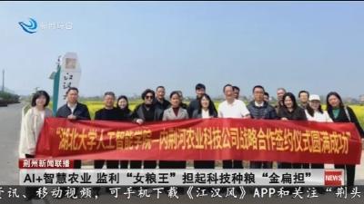 Al+智慧农业  监利 “女粮王” 担起科技种粮 “金扁担”