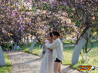 荆州临江仙公园：紫藤长廊盛放 春日浪漫上线