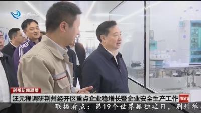 汪元程调研荆州经开区重点企业稳增长暨企业安全生产工作