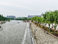 满城花海！荆州古城盛装迎五一