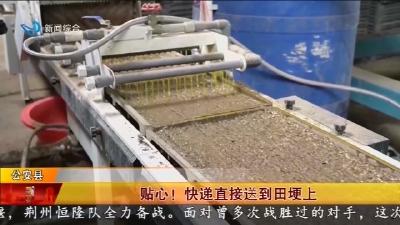 贴心! 快递直接送到田埂上