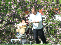 图集｜文湖公园的樱花雨后芳香迷人 天气晴好市民赏花拍照要抓紧
