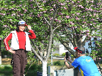 图集｜文湖公园的樱花雨后芳香迷人 天气晴好市民赏花拍照要抓紧
