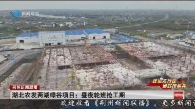 湖北农发两湖绿谷项目： 昼夜轮班抢工期
