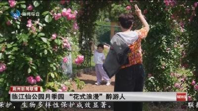临江仙公园月季园  “花式浪漫”  醉游人