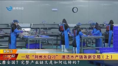 一尾 “荆州大白刁” 激活水产链条新变局  (上)