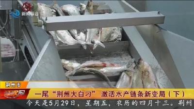 一尾  “ 荆州大白刁 ”  激活水产链条新变局 (下)