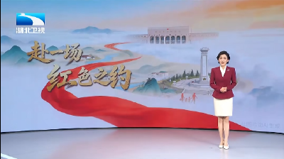 湖北卫视《支点周刊》关注荆州：洪湖水上的 “这一仗”