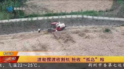 渡船摆渡收割机  抢收 “孤岛” 粮