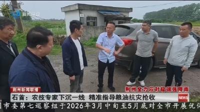 石首:农技专家下沉一线 精准指导粮油抗灾抢收