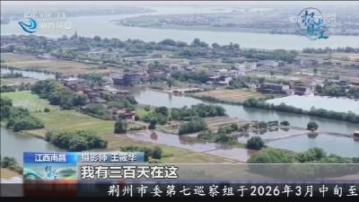 央视《极目长江》特别节目聚焦荆州   全景呈现十年守护长江的蜕变   生态改善让市民收获满满幸福感