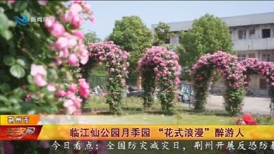 临江仙公园月季园 “花式浪漫” 醉游人
