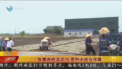 智慧育秧添动力   夏种丰收有保障