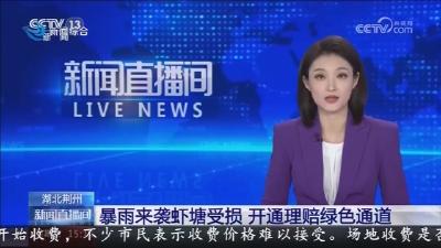 暴雨来袭虾塘受损   开通理赔绿色通道