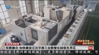实数融合  加快建设江汉平原工业数智化转型先导区