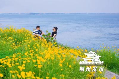 荆州版“洱海”，火了！