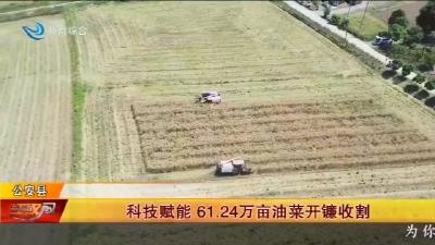科技赋能  61.24 万亩油菜开镰收割