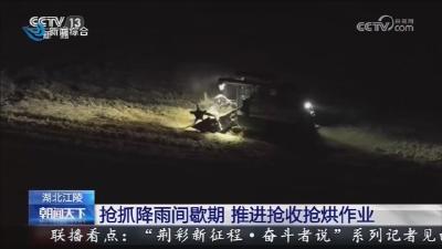 抢抓降雨间歇期   推进抢收抢烘作业