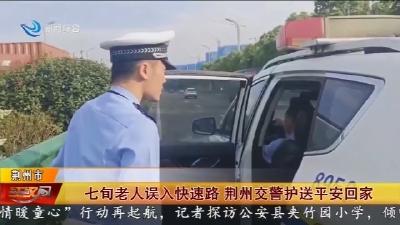 七旬老人误入快速路   荆州交警护送平安回家