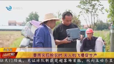 暴雨灾后抢农时   无人机飞播促生产