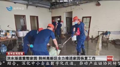 洪水渐退重整家园   荆州高新区全力推进家园恢复工作