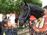 图集 | 荆州“第12人” 热血爆燃助首胜