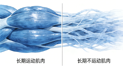 真心建议：长期不运动的人，不要突然开始啊