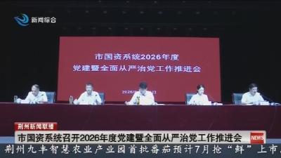 简讯：市国资系统召开2026年度党建暨全面从严治党工作推进会