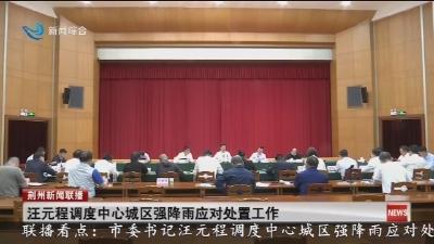 汪元程调度中心城区强降雨应对处置工作
