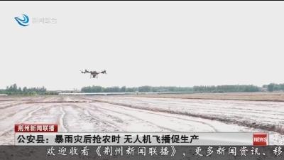 公安县 :  暴雨灾后抢农时   无人机飞播促生产