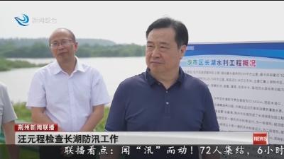 汪元程检查长湖防汛工作