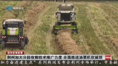 荆州加大分段收割技术推广力度   全面推进油菜机收减损