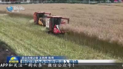 央视《新闻联播》播出新闻  “我国夏油作物收获进入高峰“   报道松滋首次推广抗根肿病新品种   增产效果明显
