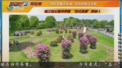 小风朋友圈     