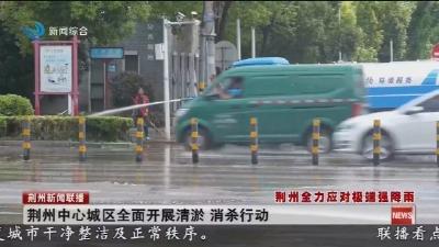荆州中心城区全面开展清淤 消杀行动