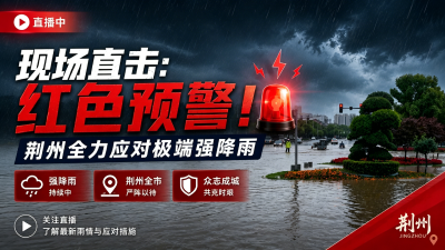 直播 | 现场直击：红色预警！荆州全力应付极端强降雨