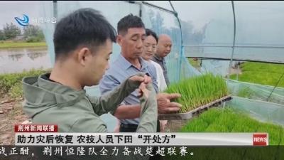 助力灾后恢复   农技人员下田  “开处方”